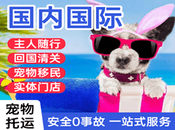 满洲里机场托运国际宠物托运 【国